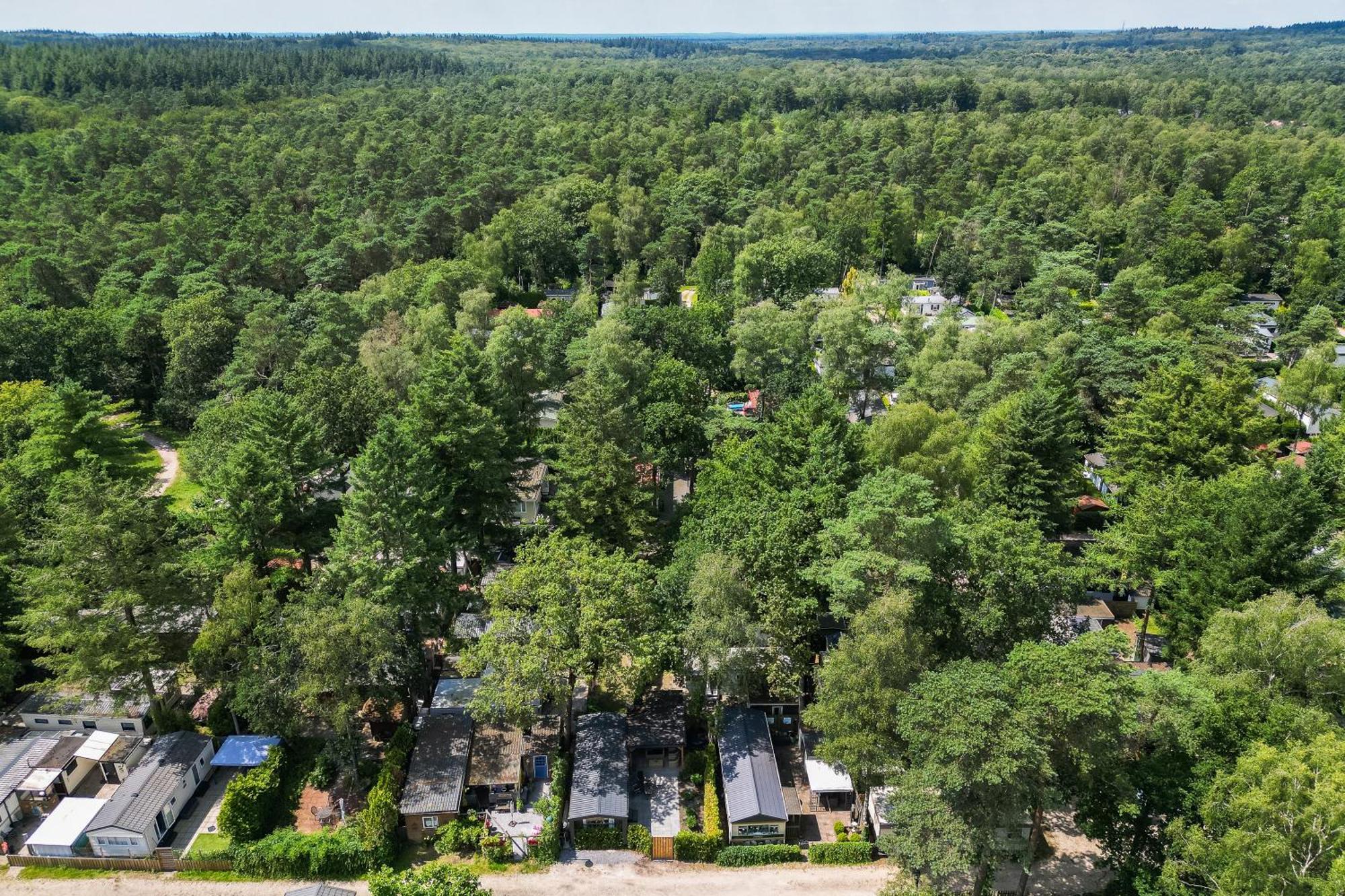 Veluwe Hoenderloo Luxury Chalet With Private Sauna And Hot Tub - Swimming Pool Tennis Court Supermarket Bowling Alley Theatre And Entertainment For Children 外观 照片