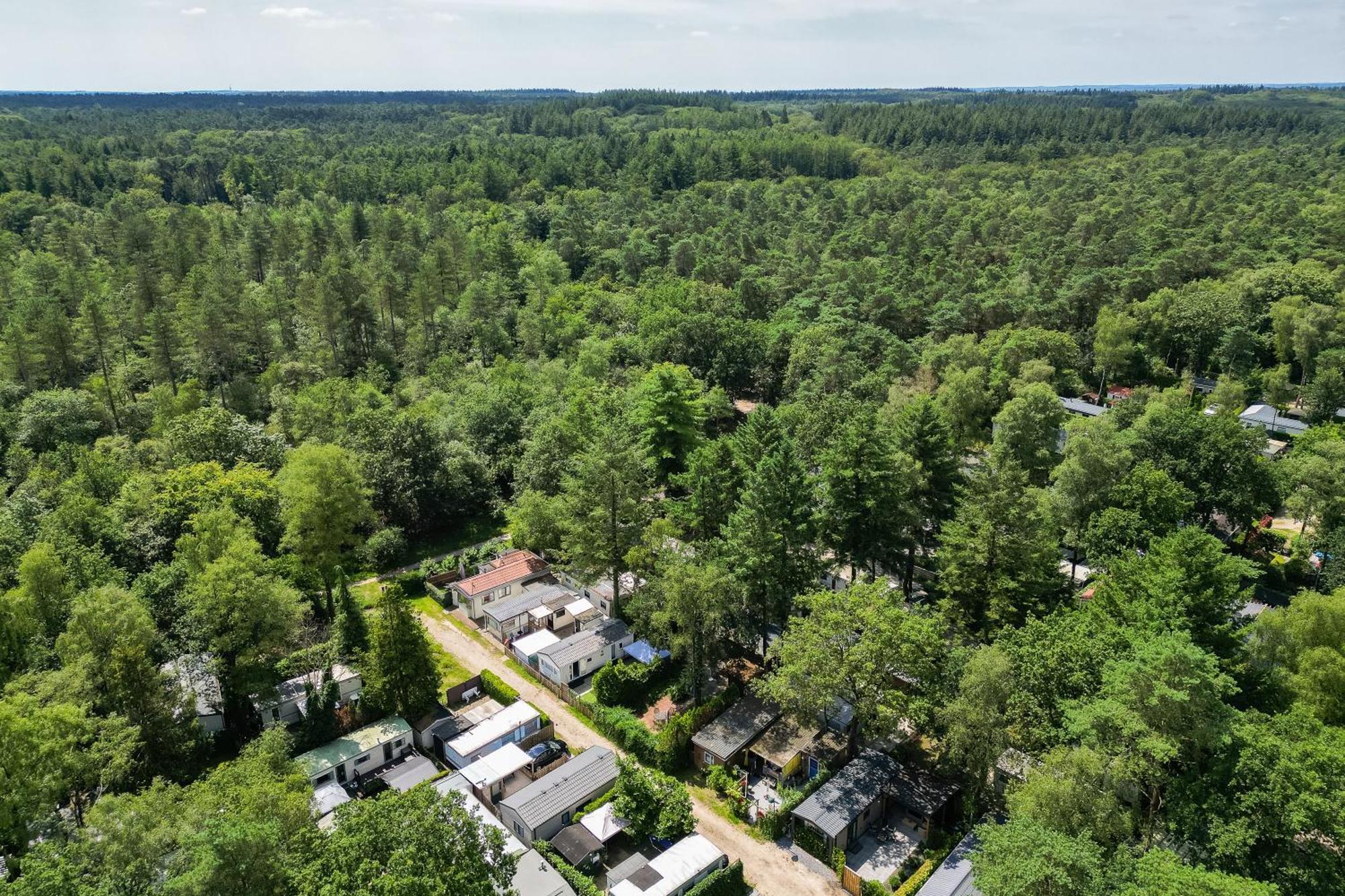 Veluwe Hoenderloo Luxury Chalet With Private Sauna And Hot Tub - Swimming Pool Tennis Court Supermarket Bowling Alley Theatre And Entertainment For Children 外观 照片